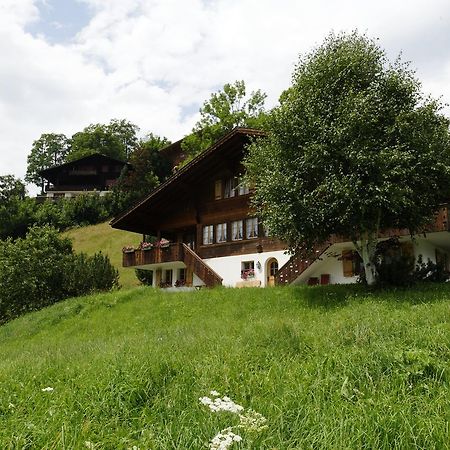 Chalet Unter Dem Stein Гріндельвальд Екстер'єр фото