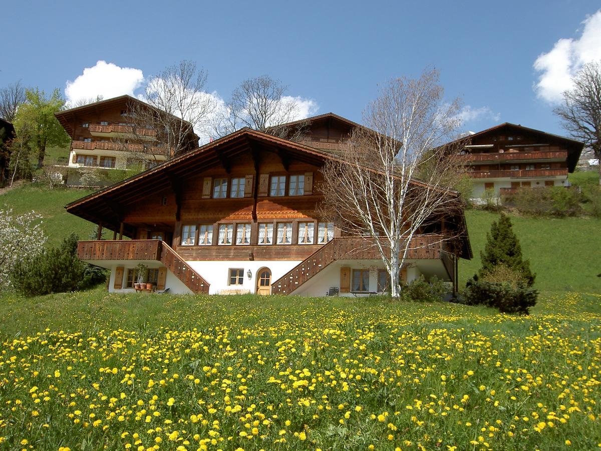 Chalet Unter Dem Stein Гріндельвальд Екстер'єр фото
