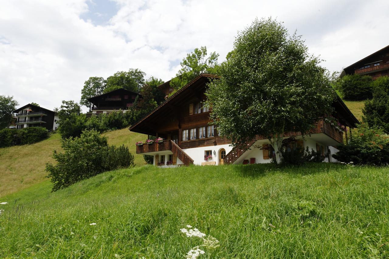 Chalet Unter Dem Stein Гріндельвальд Екстер'єр фото
